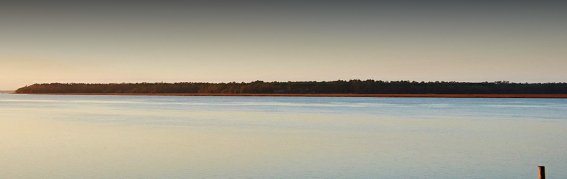 hilton head shoreline